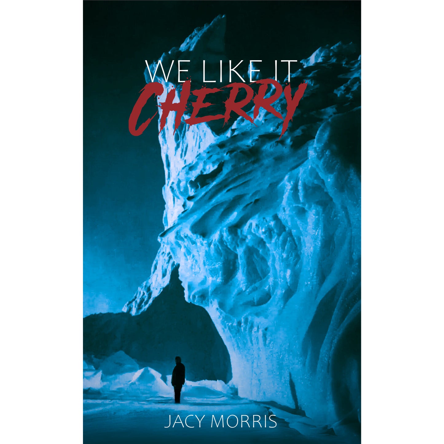 WE LIKE IT CHERRY - a novel by Jacy Morris (eBook only)