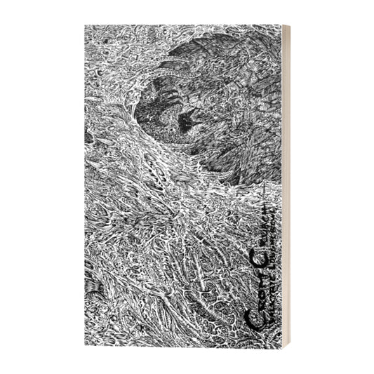 CROM CRUACH - a Novella-in-Verse by Valkyrie Loughcrewe (softcover; includes eBook)