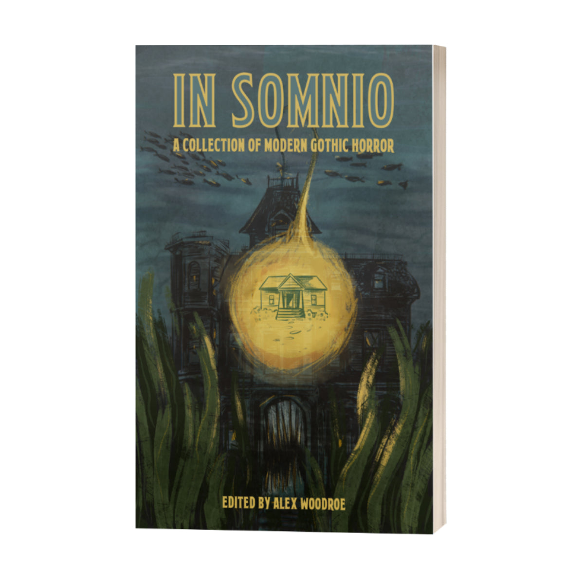 IN SOMNIO - anthology (softcover; includes eBook)